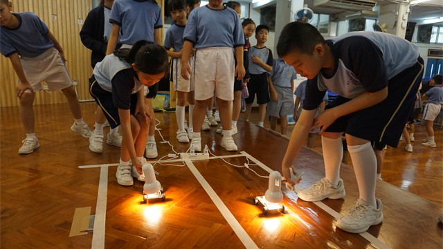 stem_3