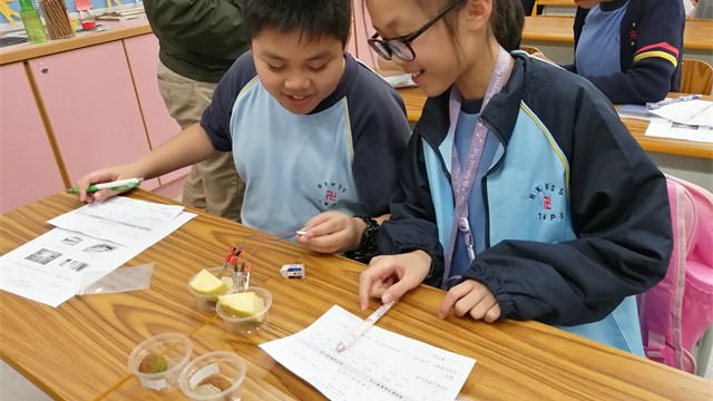 stem_4