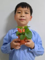 Converted from  WebP to JPG using ezgif.com